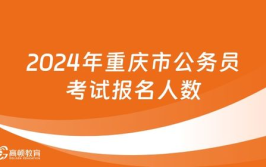 重庆市公务员考试网,揭秘公务员考试流程与备考攻略